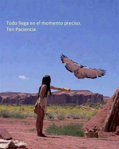 Reflexiones 1 | Frases de nativos americanos, Proverbio nativo