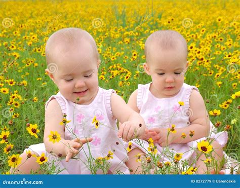 Flower Girl Twins Royalty Free Stock Images Image 8272779