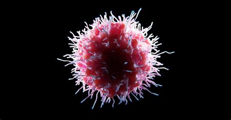 Natural Killer Cells Fight Cancer Without Collateral Damage