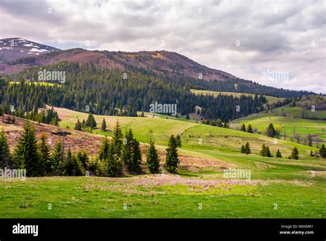 Forested Hills Of Borzhava Mountain Ridge Beautiful Nature Scenery
