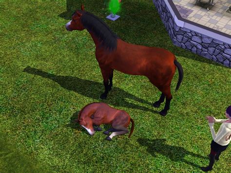 Sims 4 Centaur Cc