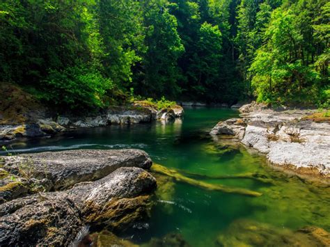Canada Mountain River Green Water Dense Forest With Trees Rocky Coast