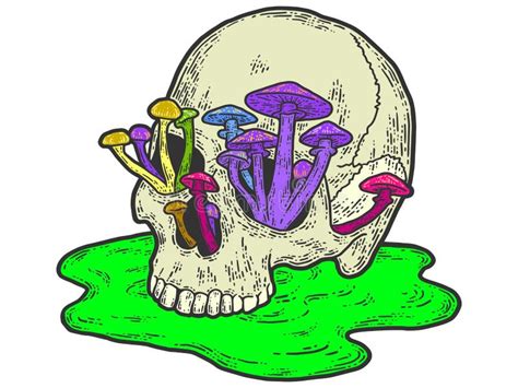 Human Skull With Growing Mushrooms Sketch Scratch Board Imitation