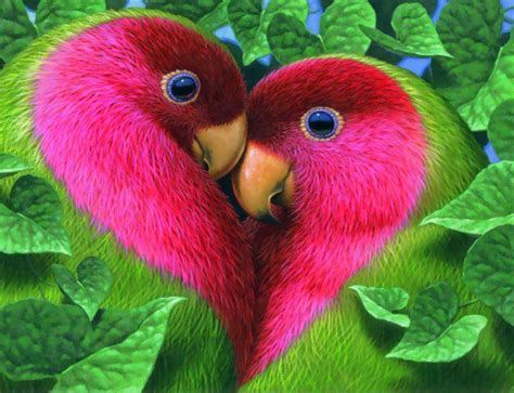 Love Birds Beautiful Animals Pinterest