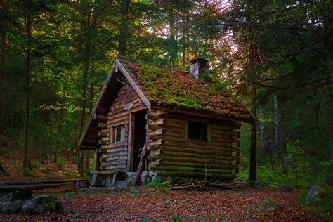 Wooden House In Forest Cabins In The Woods Little Cabin Little