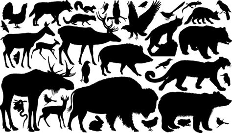 Vector Set Of Woodland Animals Silhouettes Stock Illustration