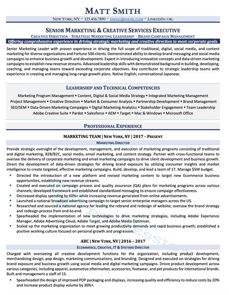 20 Executive Resume Samples Director Vp And C Level