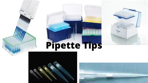 Pipette Tips Types Uses And Criteria To Choose It Microbe Online