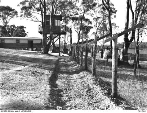 Graytown Vic 1943 12 01 Portion Of The Boundary Fence And One Of The