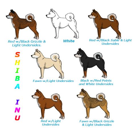 Shiba Inu Color Chart For Fp By Simplyalise On Deviantart