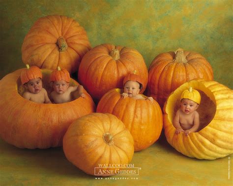Free Download Anne Geddes Wallpapers 1280x1024 For Your Desktop