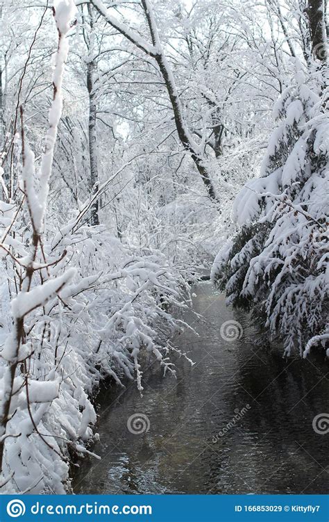 The River Flows Among The Cold White Landscape Of Nature In The Snow