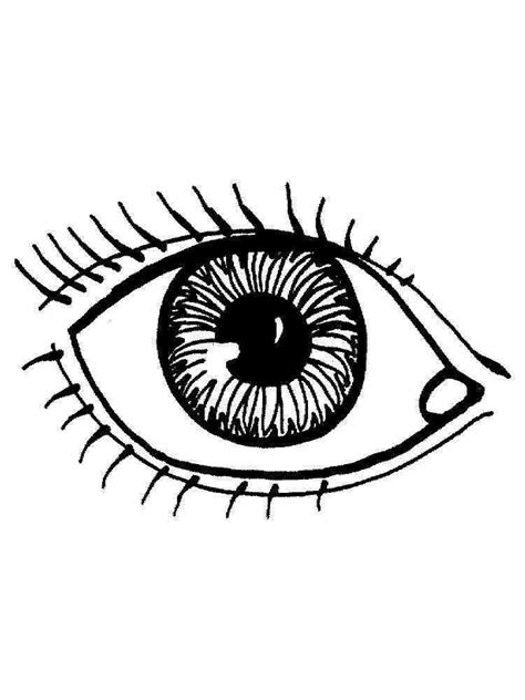 Eyes Coloring Pages