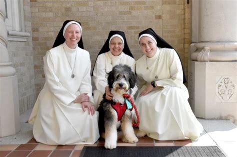 Meet The Therapy Dog Trained By Mercedarian Sisters To Help The