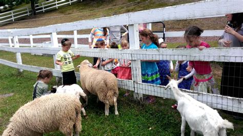 Petting Zoo Party Rental Near Me The Best Petting Zoo Rentals In