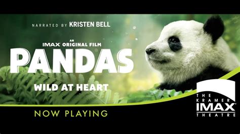 Pandas Imax Trailer Youtube