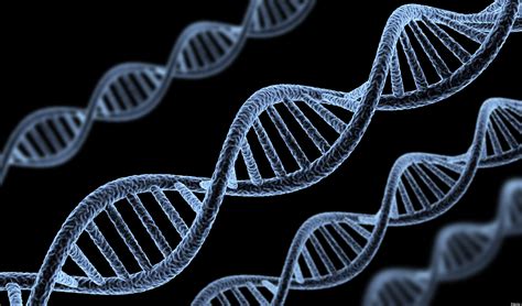 Assim Que Morremos Genes SÃo Ativados Em Nossos Corpos