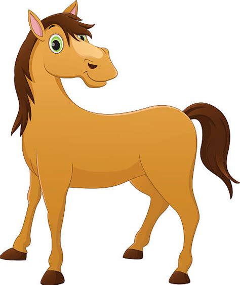 Best Funny Horse Illustrations Royalty Free Vector