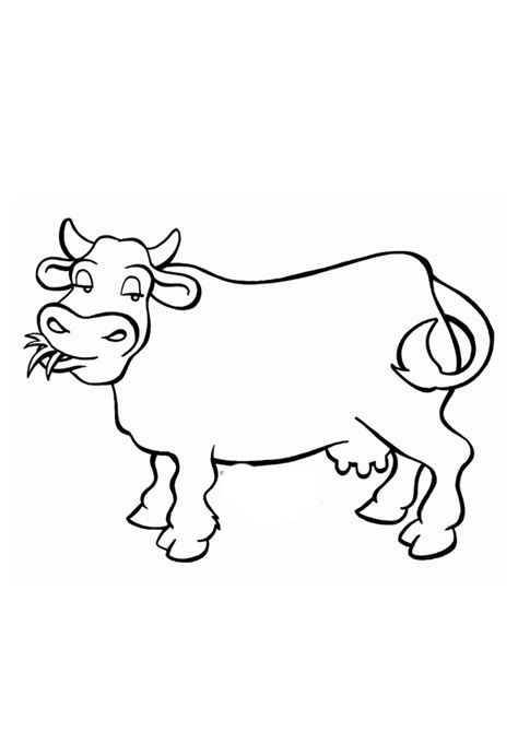 Funny Cow Eating Grass Coloring Page Free Printable C