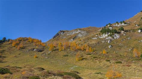 Panoramic View Of The Woods In Autumn In The Mountains Stock Photo