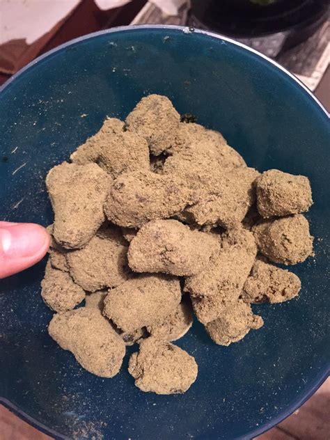 Get your kids wondering about outer space with this fun playtime craft. Homemade moon rocks : trees