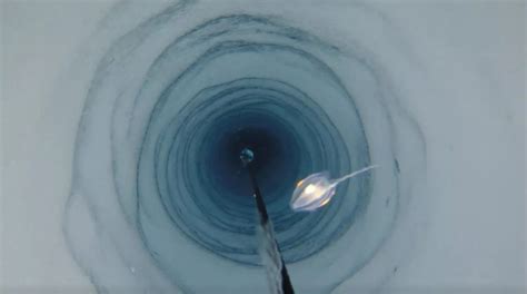 Scientists Discover Strange Mysterious Creatures Beneath Antarctic Ice