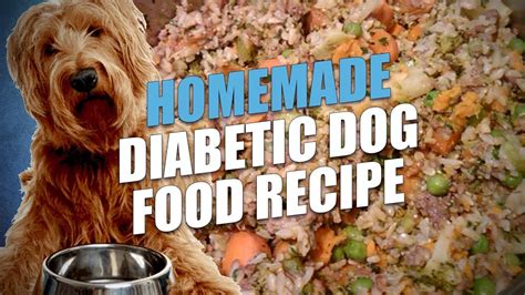 What should a diabetic dog food contain? Homemade Diabetic Dog Food Recipe (Cheap and Healthy ...