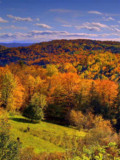 Free Download Wallpaper Valley Of Fall Color Autumn Vermont Desktop