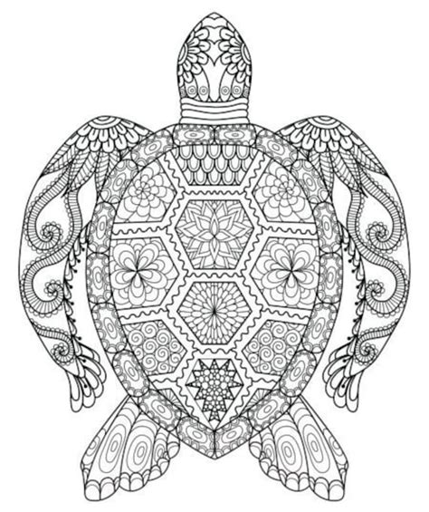 Turtle Mandala Coloring Page Etsy