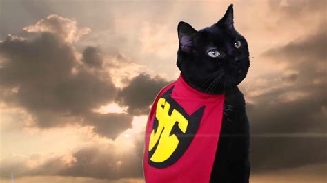 16 Superhero Cats That Are Here To Rescue You Pleated Jeans