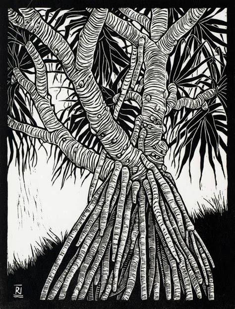 Linocuts By Artist Rachel Newling Of Australian Landscape Trees And Water Boab Trees Pandanus