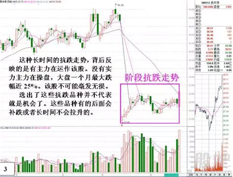 新加坡股市 即时 新加坡财经 全球财经 中国财经 投资理财 房产 中小企业 财经人物. 股市大跌反弹时该如何选股-选股绝技图解-股海网