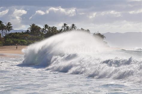 Sunset Surfer In Honolulu Stock Image Image Of Bold 24580119