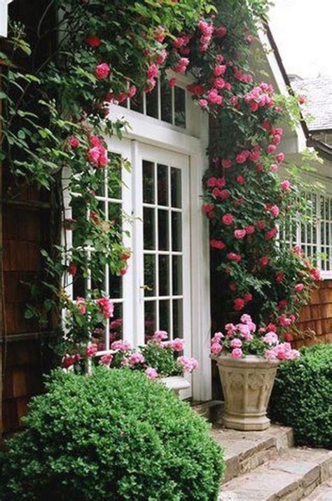 10 Easy Tips To Plant A Climbing Rose Garden Cottage Rose Cottage