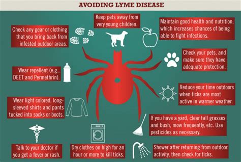 Get Ticked Off About Lyme Disease Research Support