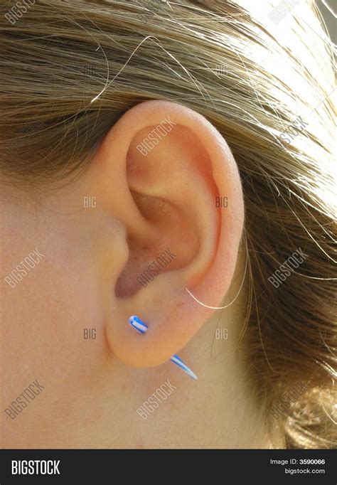 Acrylic Ear Stretching Image And Photo Free Trial Bigstock