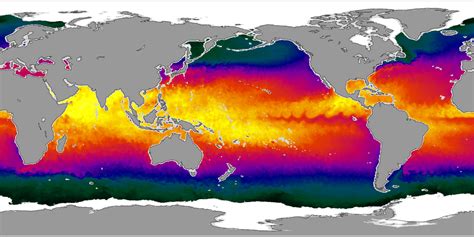 Global Sea Surface Temperature From Amsr E
