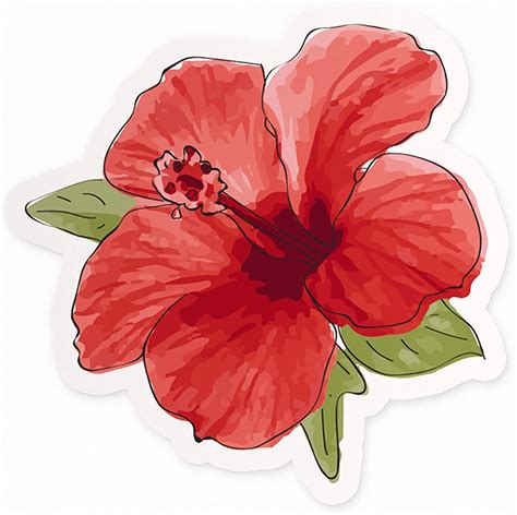 Amazon Com Cute Hibiscus Flower Sticker Hawaii Flower Sticker