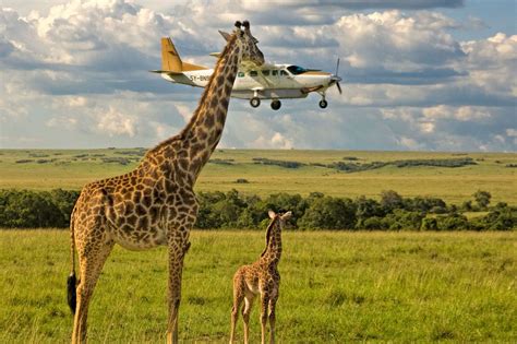 Now in its fifth year, the comedy wildlife photography awards recently announced the finalists for 2019, revealing 40 hilarious images from wildlife photographers around. We Found the Funniest Animal Photos on the Internet to ...