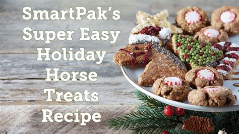 Smartpaks Super Easy Holiday Horse Treats Recipe Youtube