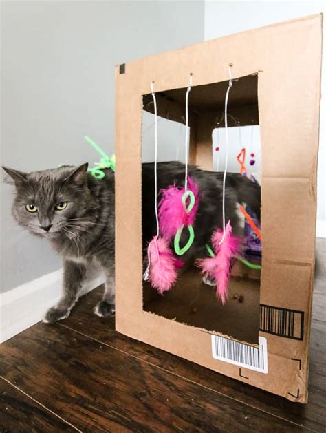 Diy Cardboard Cat Play Box