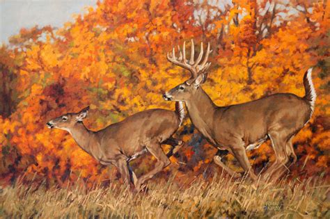 Find over 100+ of the best free canvas painting images. Ryan Kirby Art — White-tailed Deer Original Oil Paintings