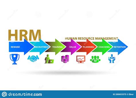 Hrm Human Resources Management Concept Stock Illustration