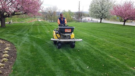 Peckville Lawn Care Scranton Wilkes Barre Lawn Care