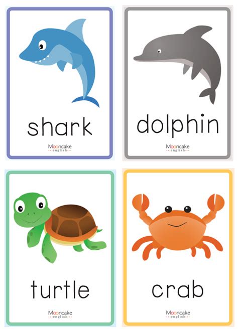 Teach Sea Animals Names Using Sea Animal Flashcards With This Free Esl