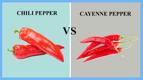 Chili Pepper Vs Cayenne Pepper