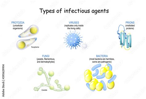 Pathogen Infection From Prions And Viruses To Bacteria Fungi And