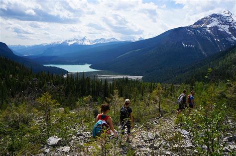 5 Best Hikes In Yoho National Park Hike The Canadian Rockies
