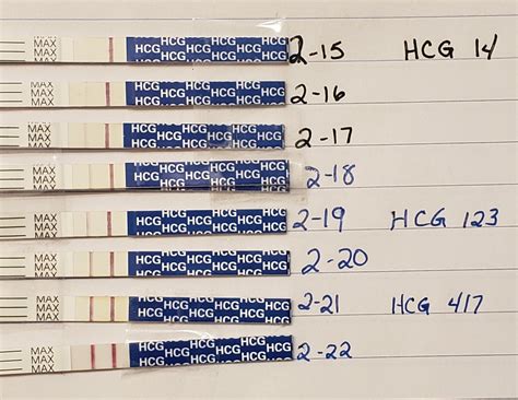 What Does A Positive Pregnancy Test Really Look Like Page 31 — The Bump