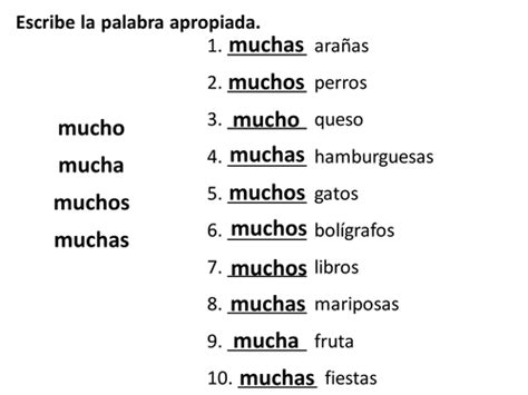 Practice Of Mucho Mucha Muchos Muchas Teaching Resources